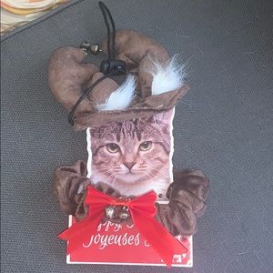Cat reindeer holiday accessory